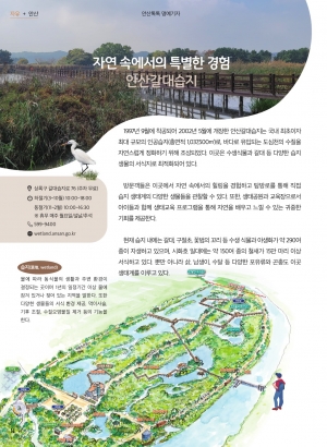 자연속에서의 특별한 경험 안산갈대습지