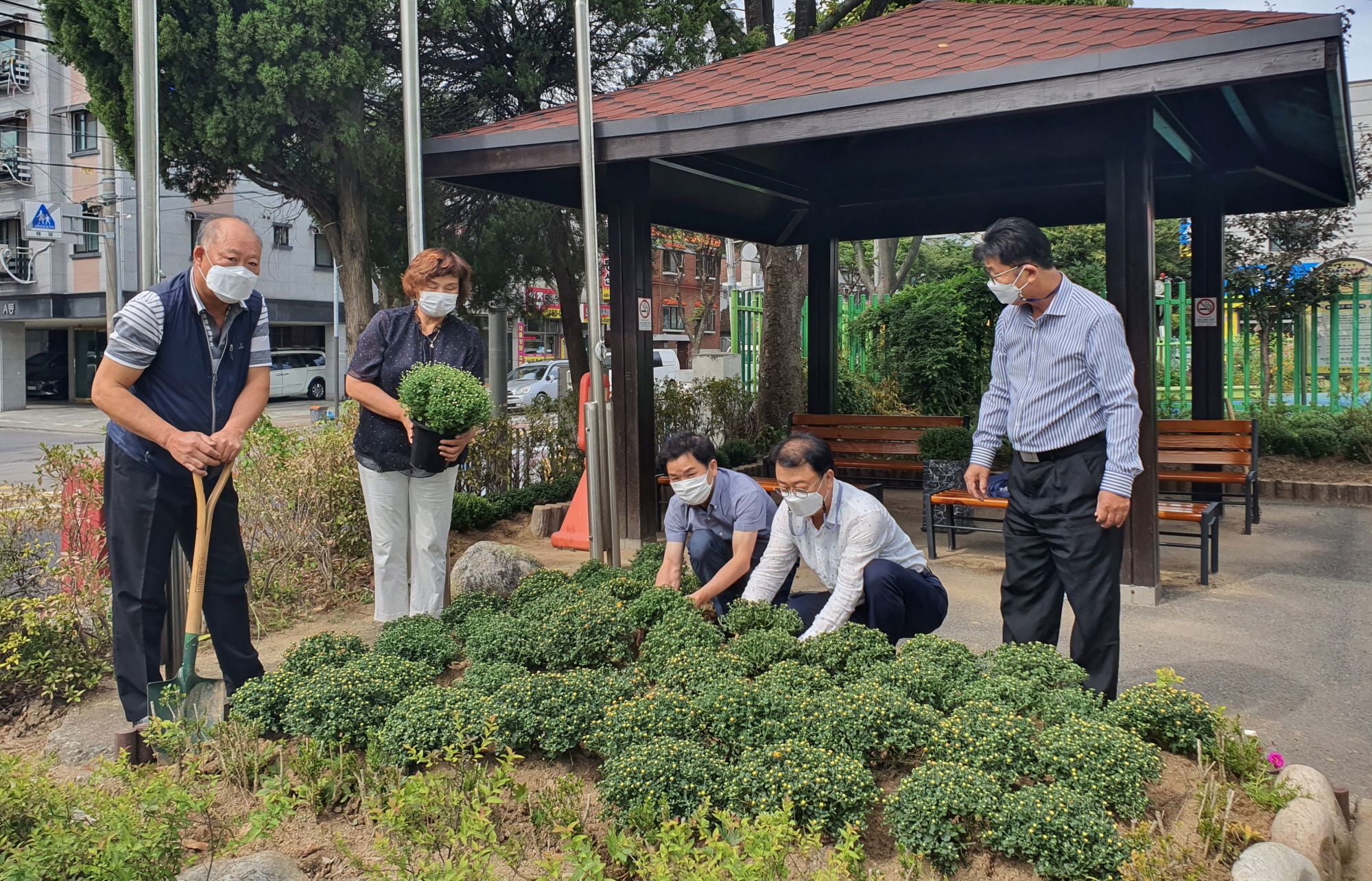 안산시 선부2동, 가을맞이 동 청사 국화 식재