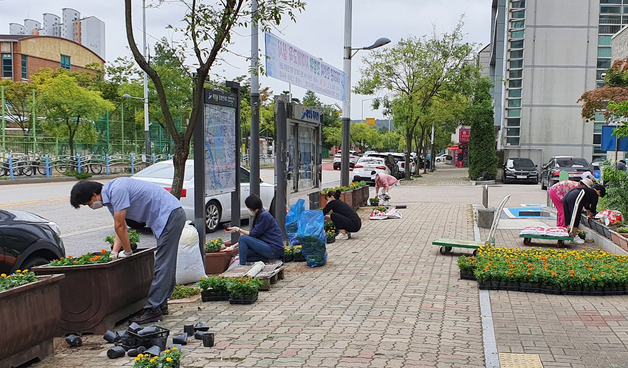 안산시 해양동, 코로나19 극복 ‘가을 담은 꽃길’ 조성