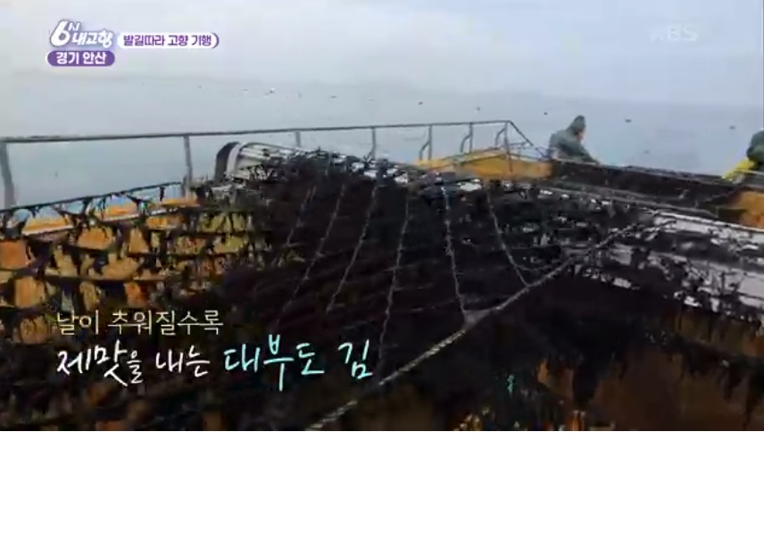 KBS ‘6시 내고향’도 반한 ‘안산의 보물’