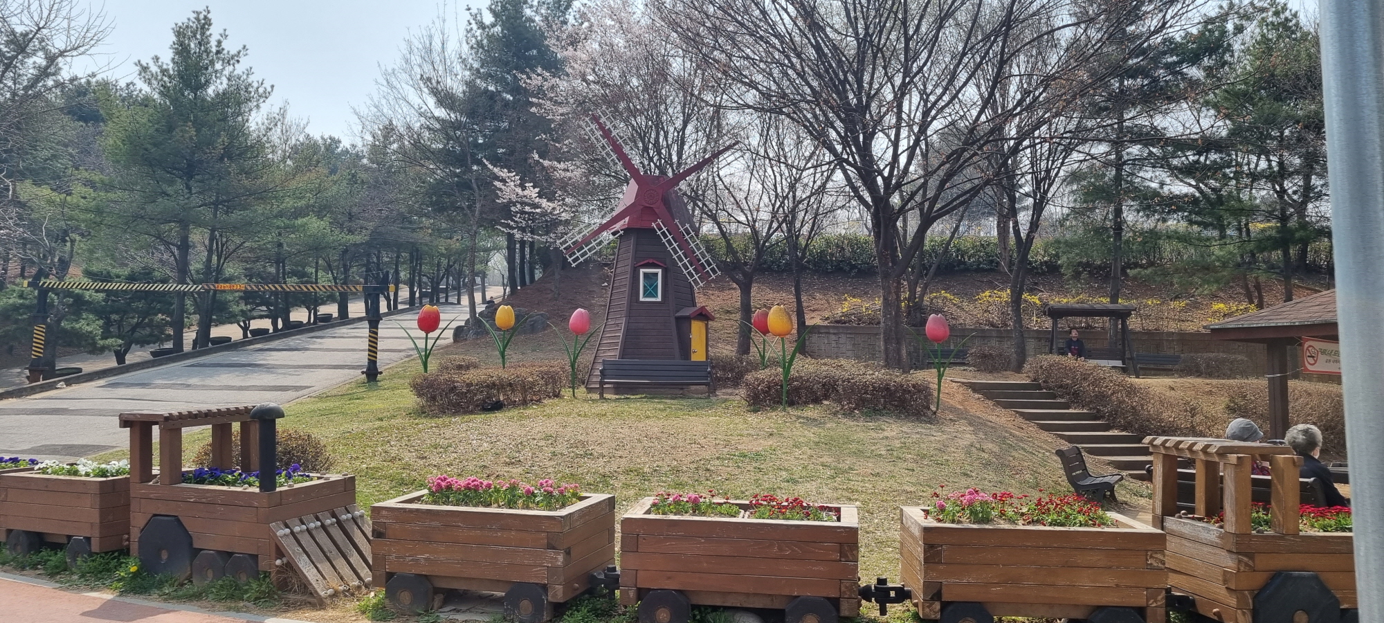 안산시 고잔동, 청사 주변 봄맞이 꽃 식재