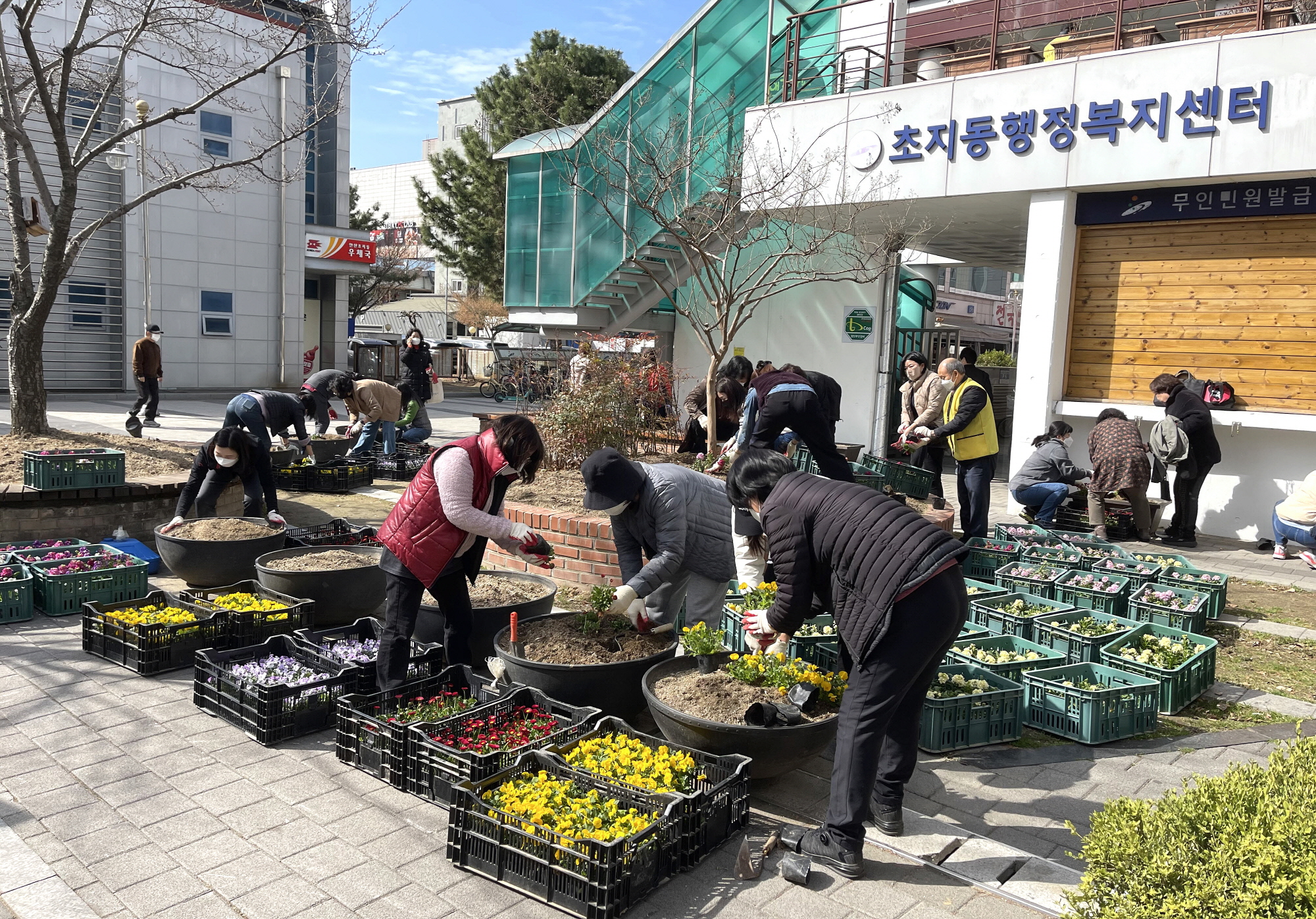 안산시 초지동, 봄내음 가득한 꽃 식재로 새봄 맞아