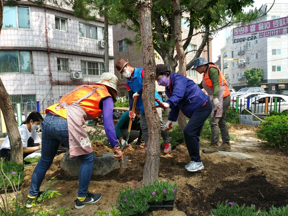 선부2동마을정원협의체, 송엽국 화단 조성