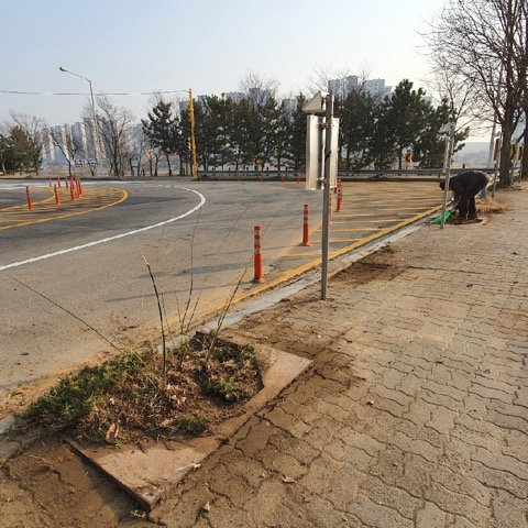 안산시 해양동, 봄맞이 가로환경 정비