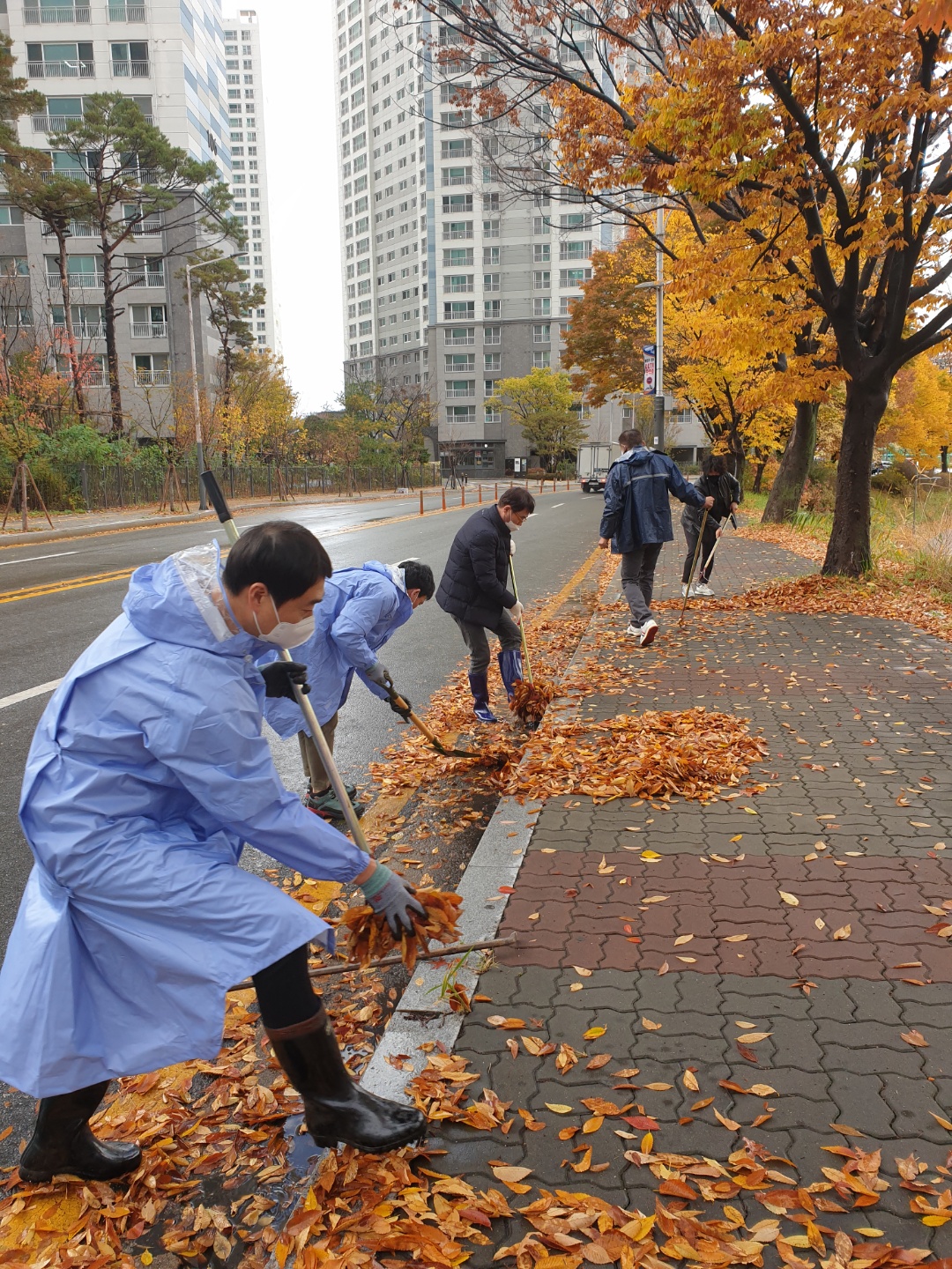 안산시 단원구, 도로침수 예방 우수받이 낙엽제거 총력
