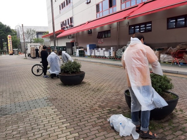 안산시 초지동, 화분 고사목 정리 및 제초작업