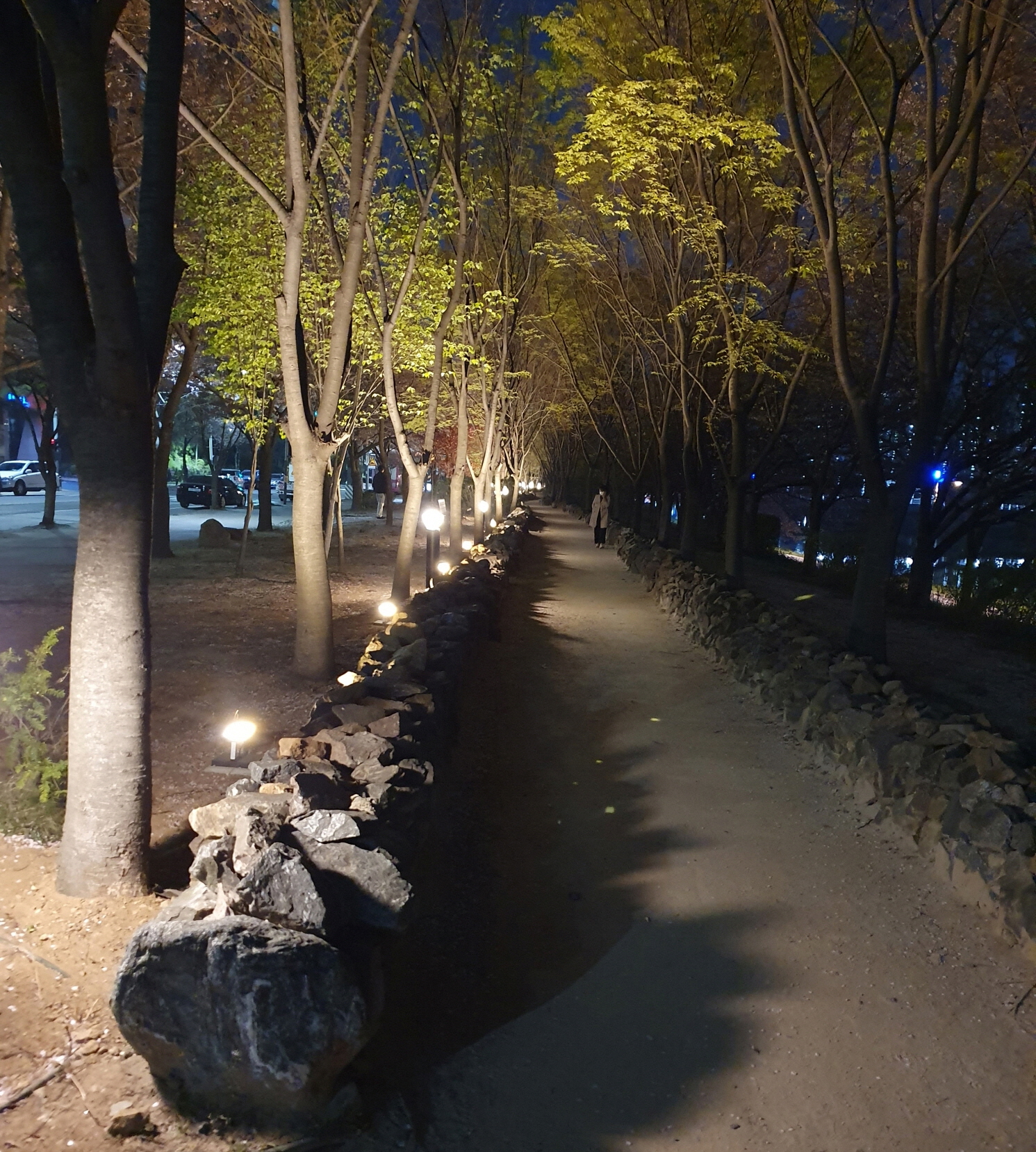 초지동 화정천 돌담길 산책로에 조명등 설치