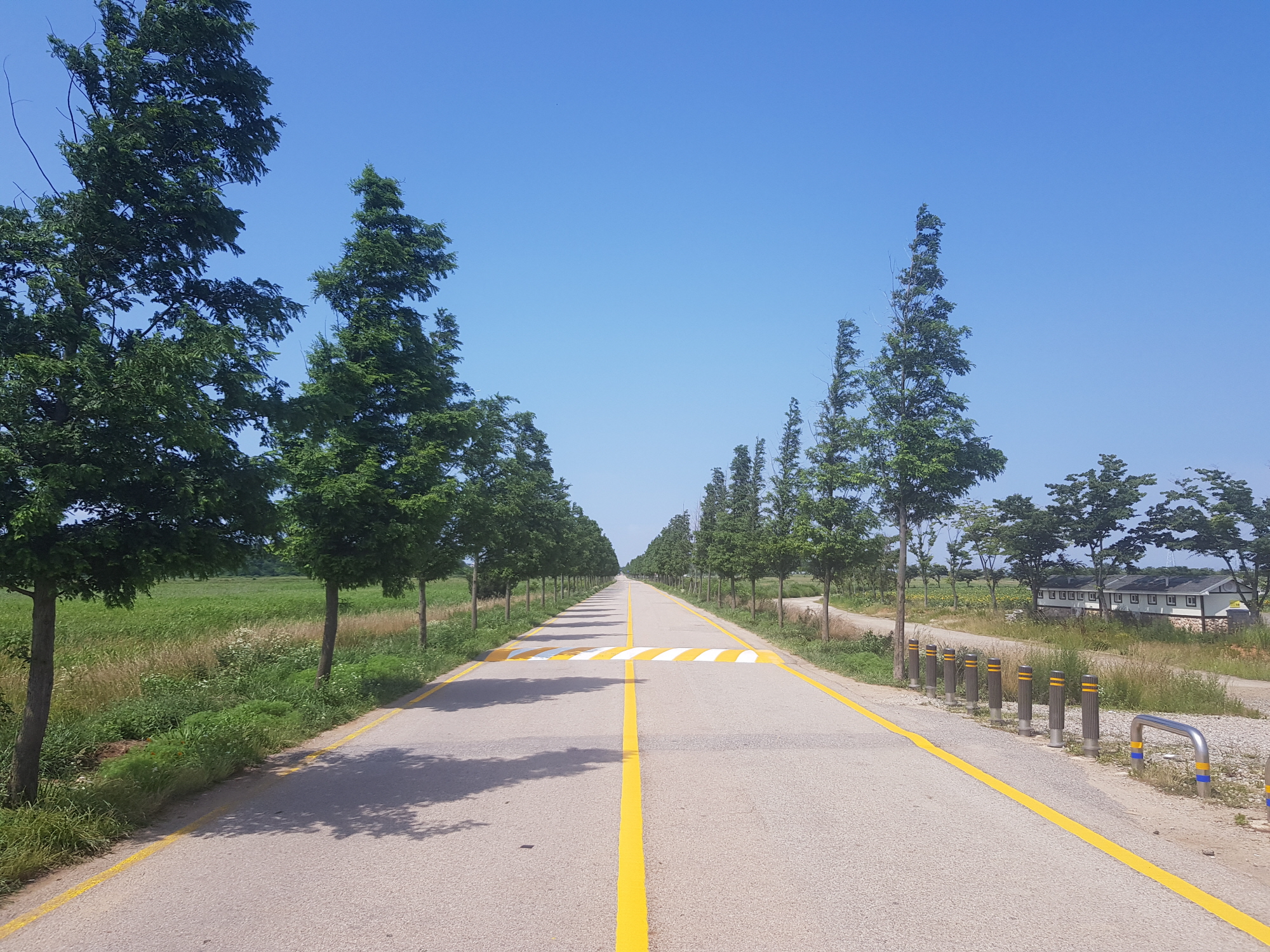 안산시, 대부도 방아머리 휴가철 교통체증 해소 ‘총력’