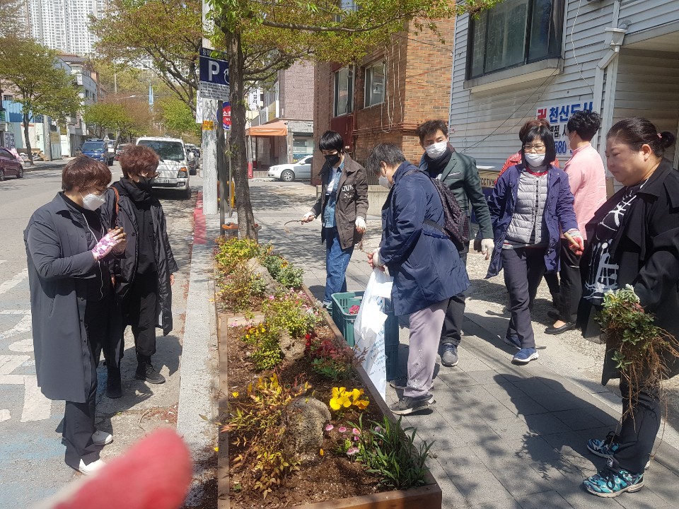 선부3동, 봄꽃으로 코로나19 극복 응원