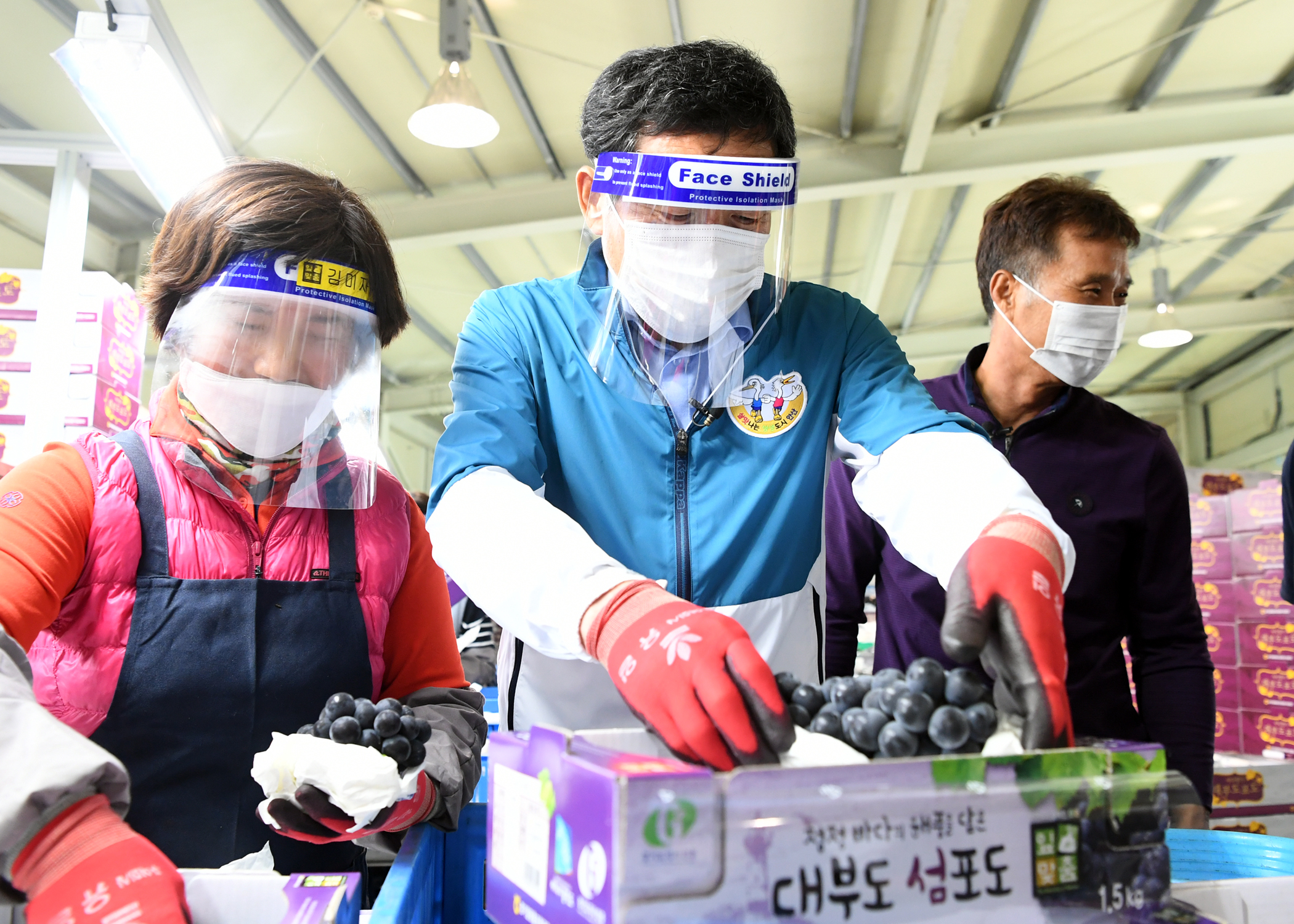 안산시, 이마트 고잔점과 ‘대부포도위크’ 행사 추진