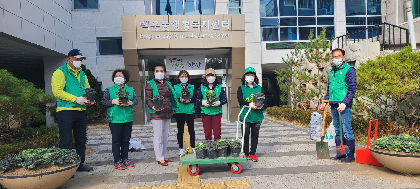 안산시 백운동, 겨울꽃 식재로 아름다운 마을 조성