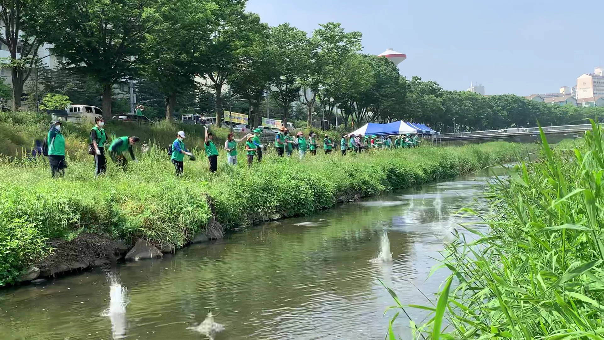 안산시새마을회, 생태하천복원운동 전개
