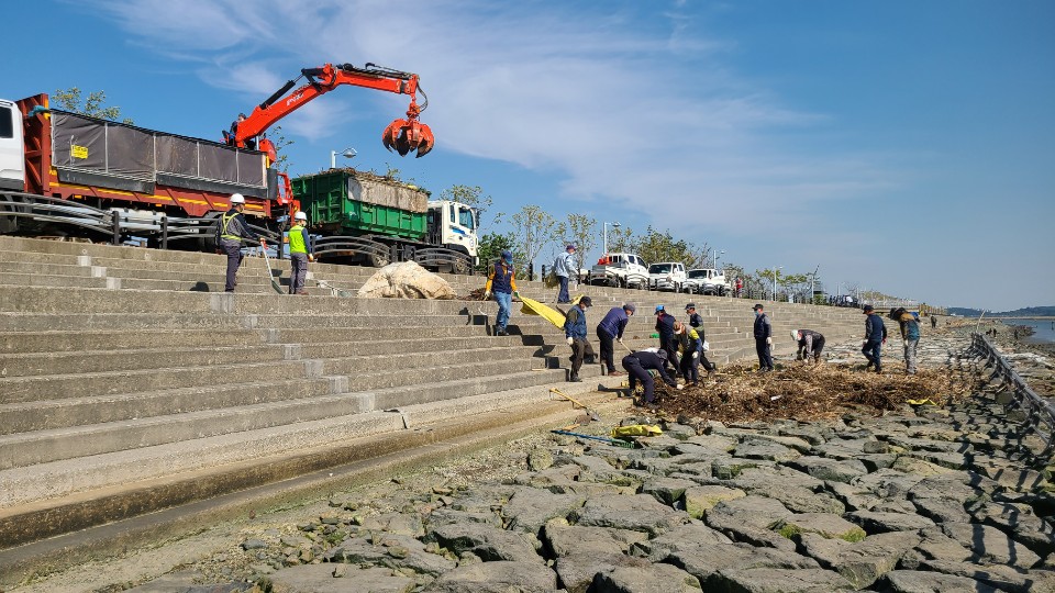 단원구, MTV 경관녹지 및 해안가 환경정화 활동