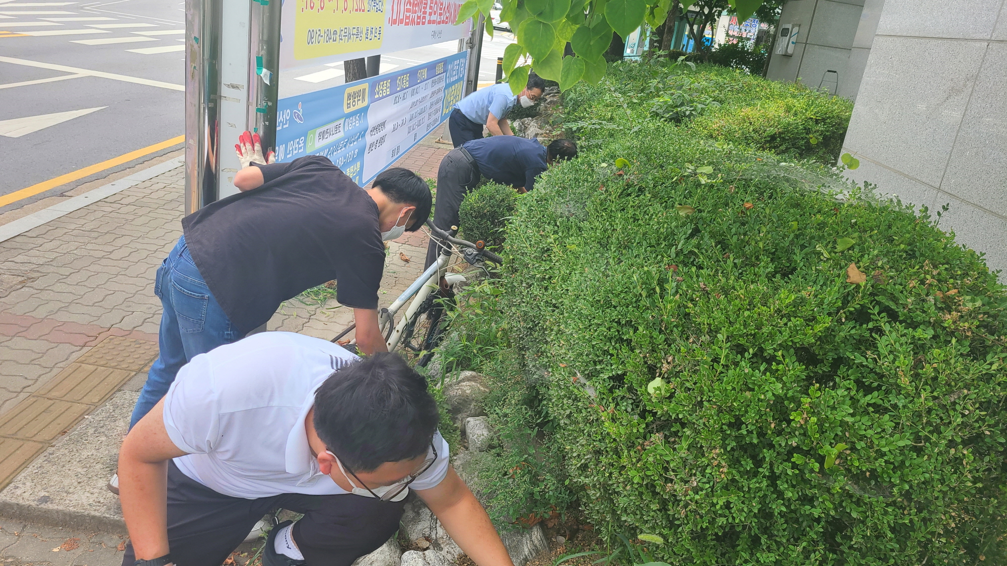 안산시 본오2동, 무더운 여름 화단가꾸기 '구슬땀'