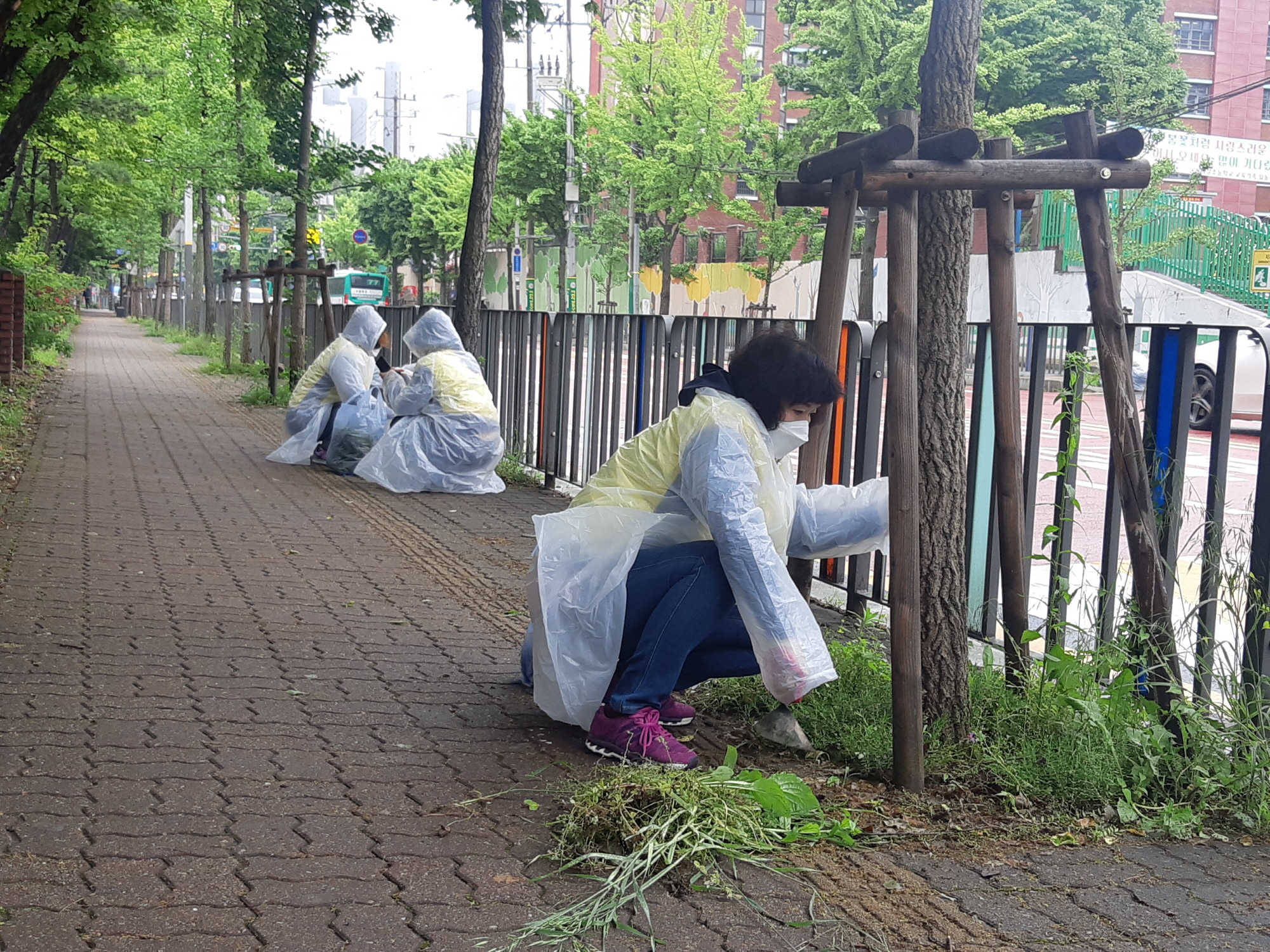 안산시 중앙동 주민자치위원회, 예술대학로 제초작업 실시