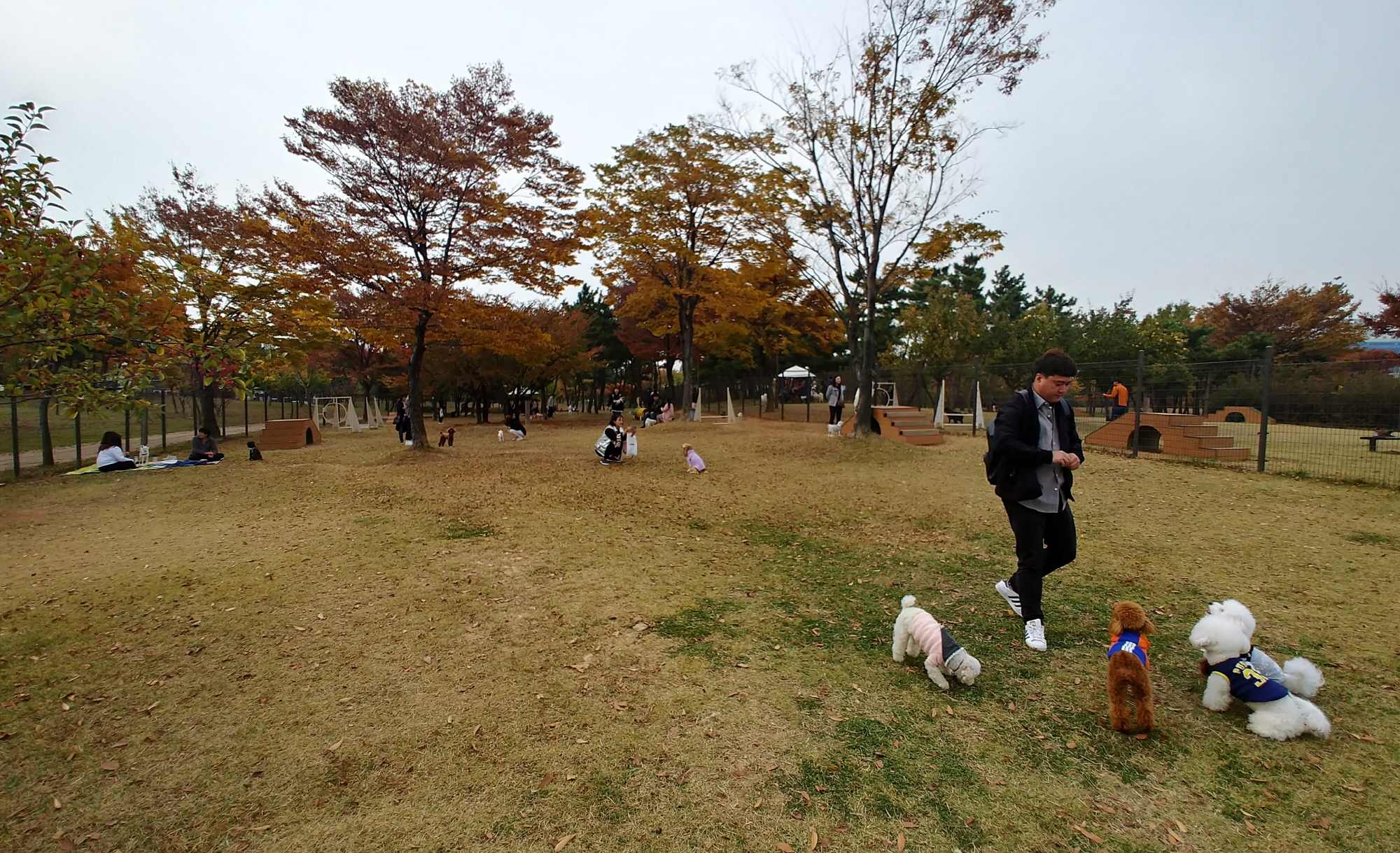 안산시 성곡반려견 놀이터, 동절기 일시 휴장