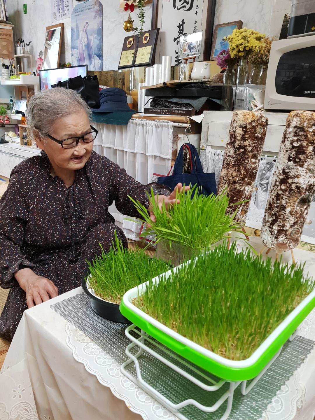 안산 단원보건소 원예프로그램, 독거노인 및 재가암환자 등 확대 운영