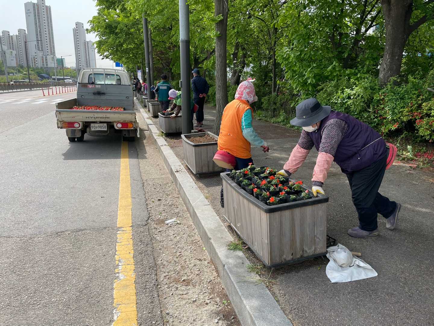 코로나19로 지친 마음! 봄꽃으로 힐링하세요