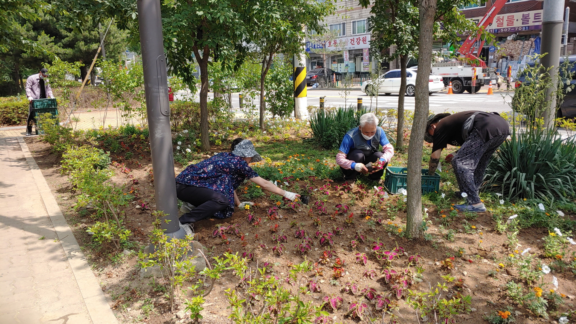 안산시 일동, 아름다운 여름꽃 정원 조성 ‘눈길’