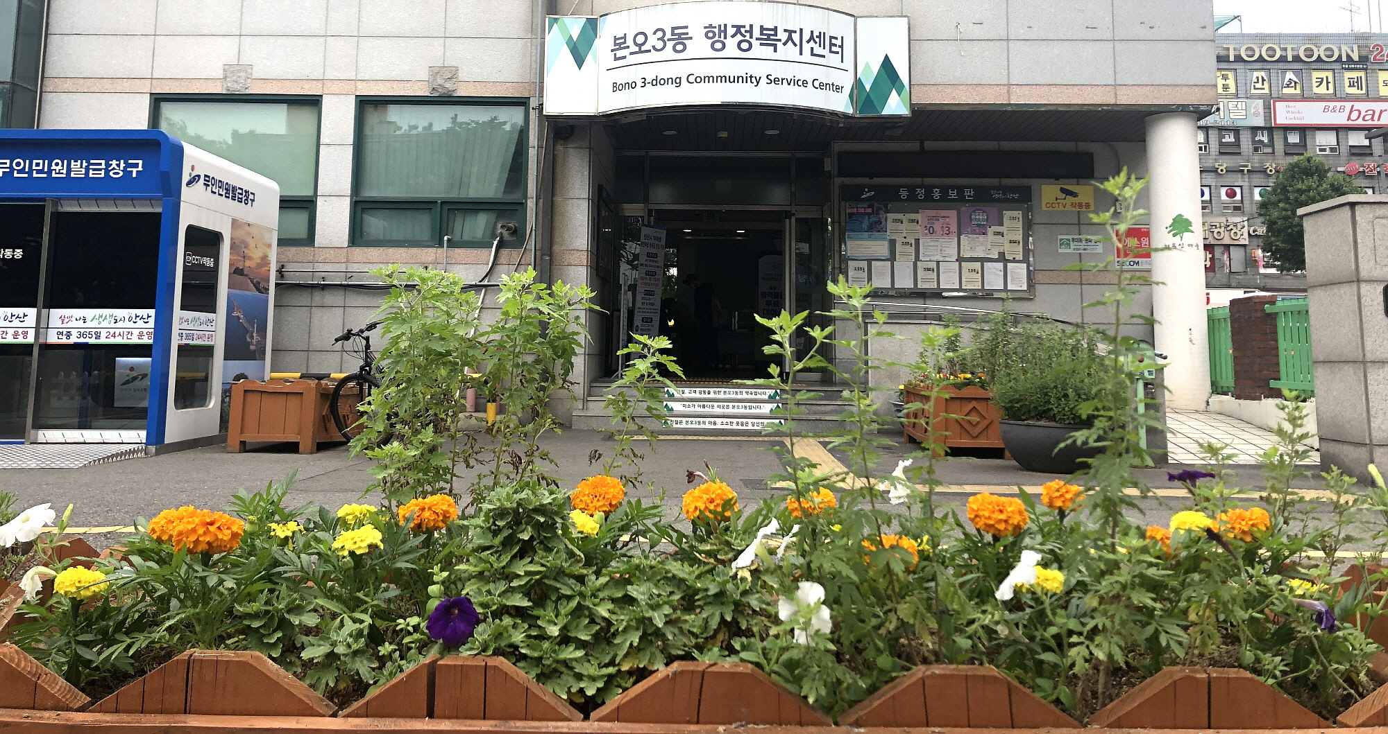 안산시 본오3동 청사에 여름꽃이 활짝