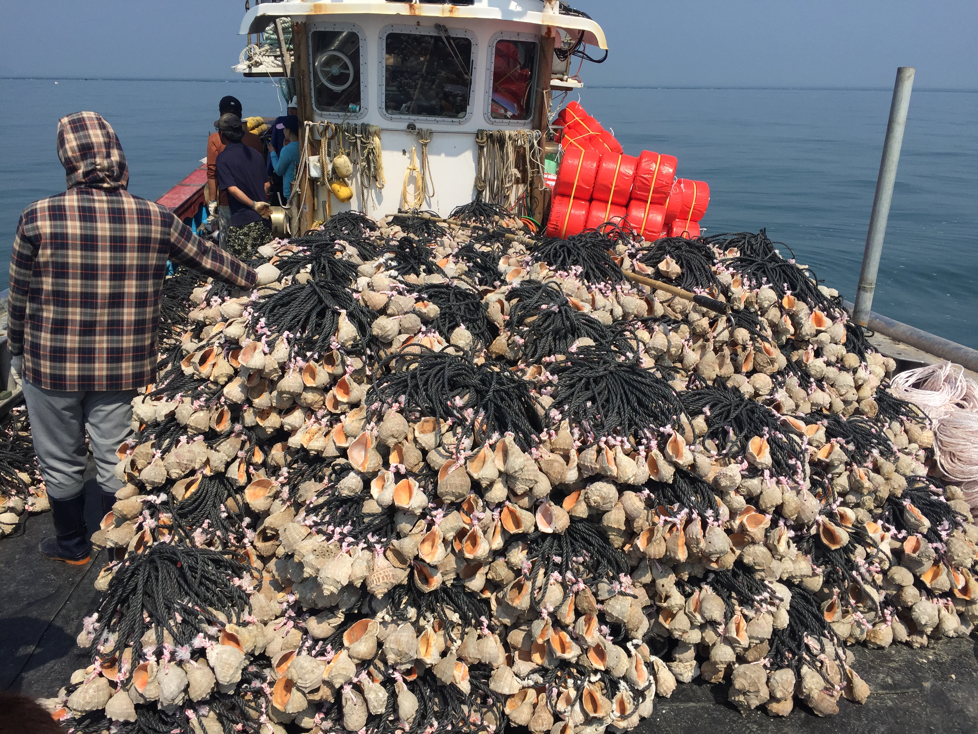 안산시, 수도권 최초 수산자원 산란·서식장 조성사업 선정
