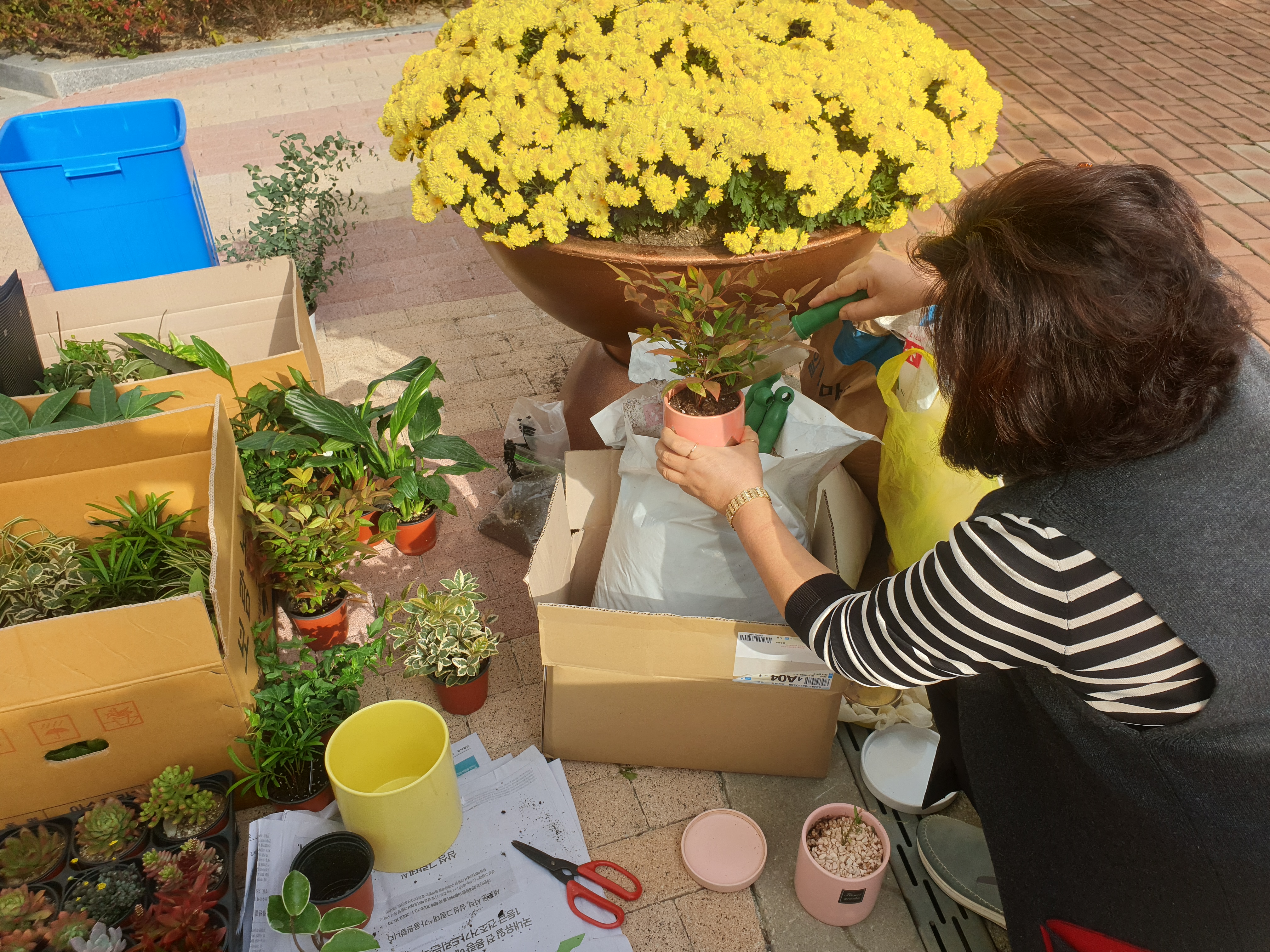 안산시 신길동 ‘너랑 나랑 우리랑~’, 우리 집 미니정원 내가 만들기 행사 개최