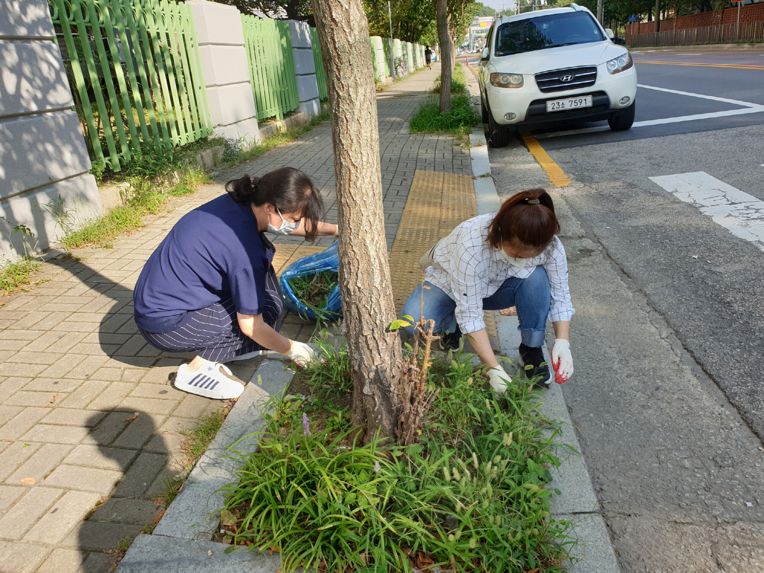 안산시 월피동 통장협의회, 도로변 잡초제거 작업 전개
