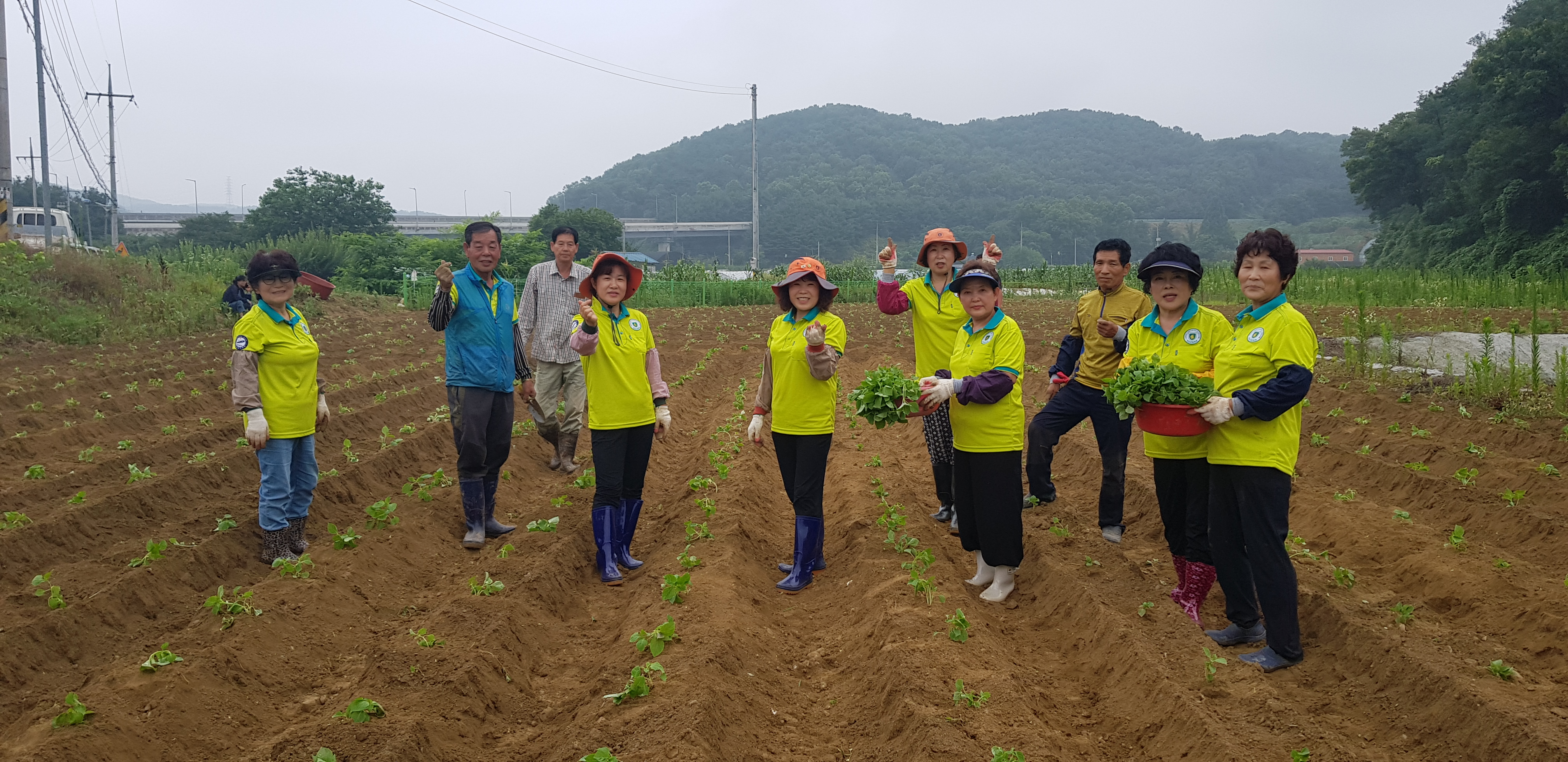 반월동 자율방재단, 사랑의 ‘나눔 들깨’ 식재