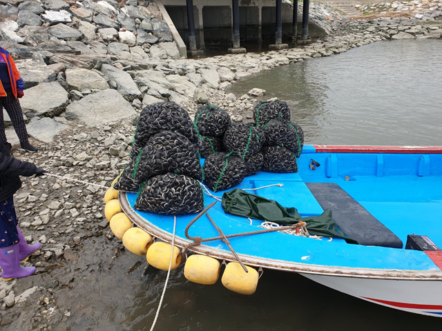 안산시, 시화호 불법 어업행위‘연중 상시’단속