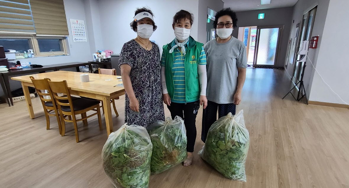 안산시 백운동 새마을회, 사랑의 텃밭 열무 나눔