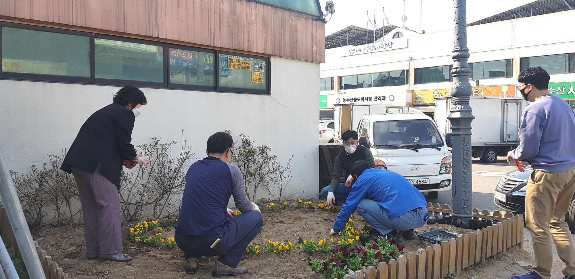 안산시농수산물도매시장에 봄꽃이 ‘활짝’