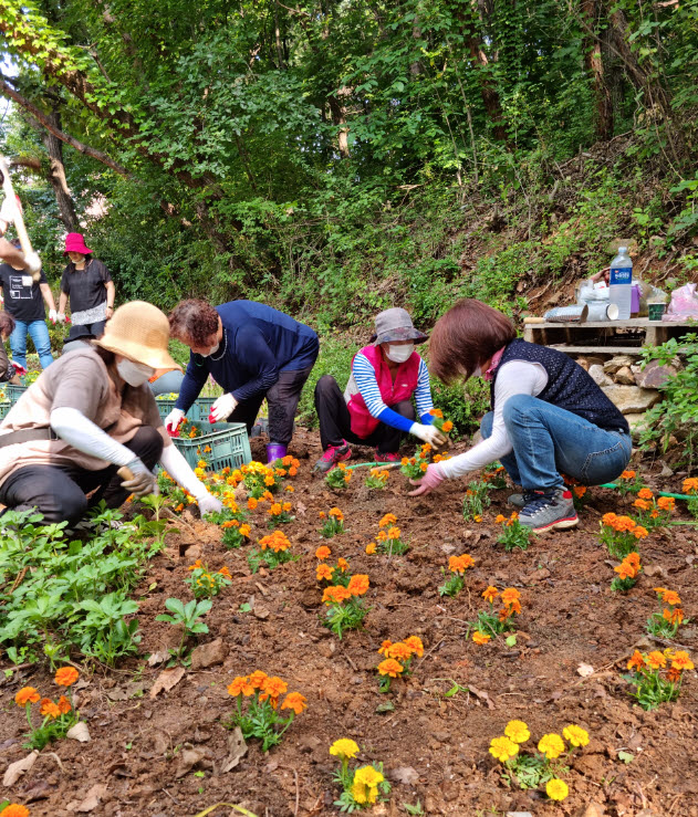 안산시 고잔동 소생길에 여름꽃 구경 오세요