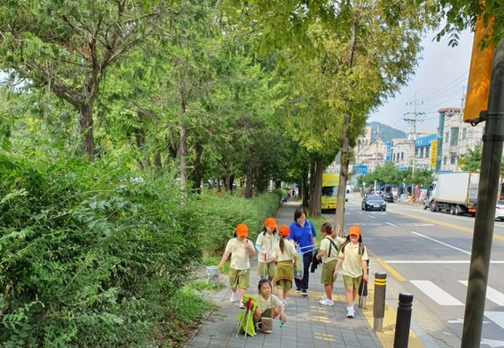 일동 걸스카우트 어린이, 일동공원 정화활동 추진