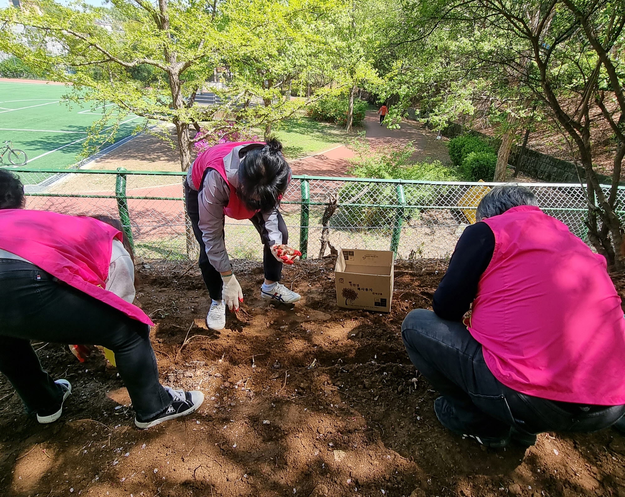 안산시 선부2동, 샛터공원에 아름다운 꽃길 조성