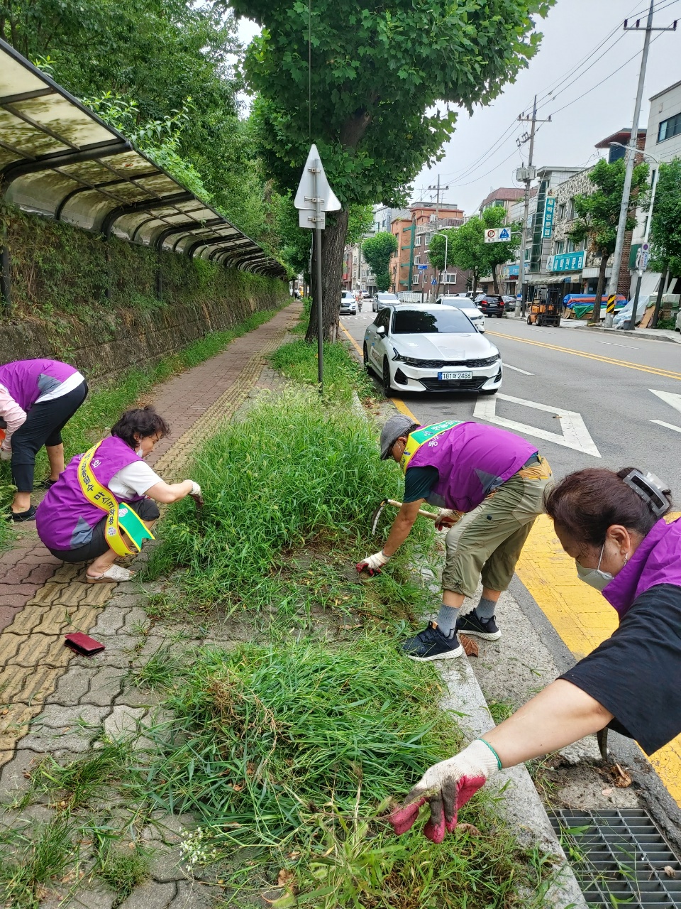 안산시 이동 통장협의회, 잡초제거 등 환경정비