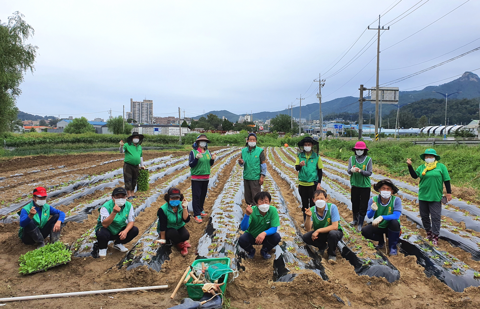 안산동, 가을꽃·김장용 채소 모종 식재 행사