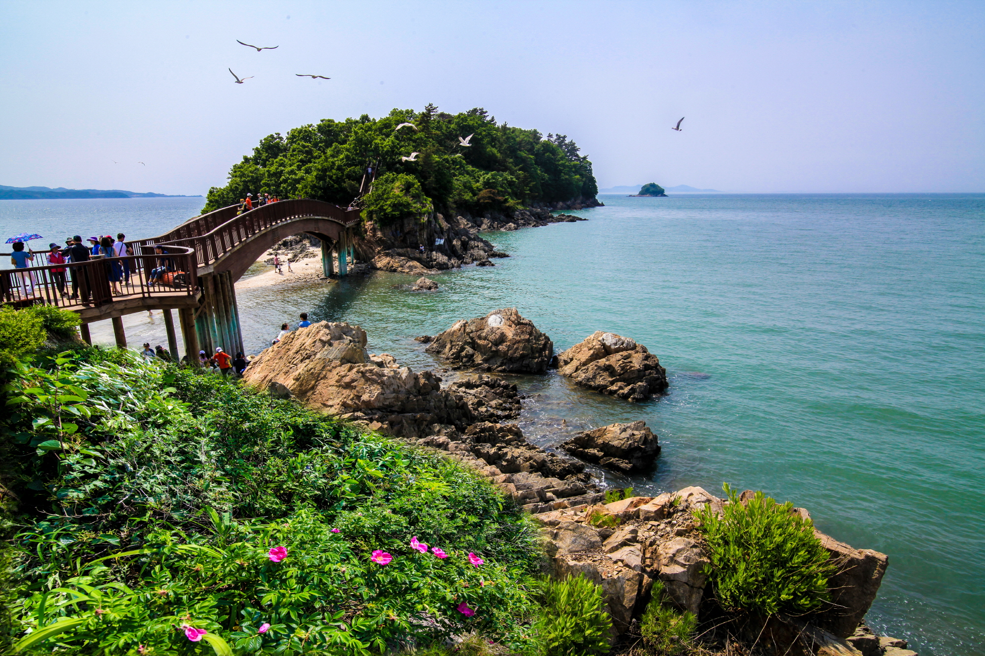 ‘2021 안산 방문의 해’ 코로나19로 지친 관광객 맞이 총력