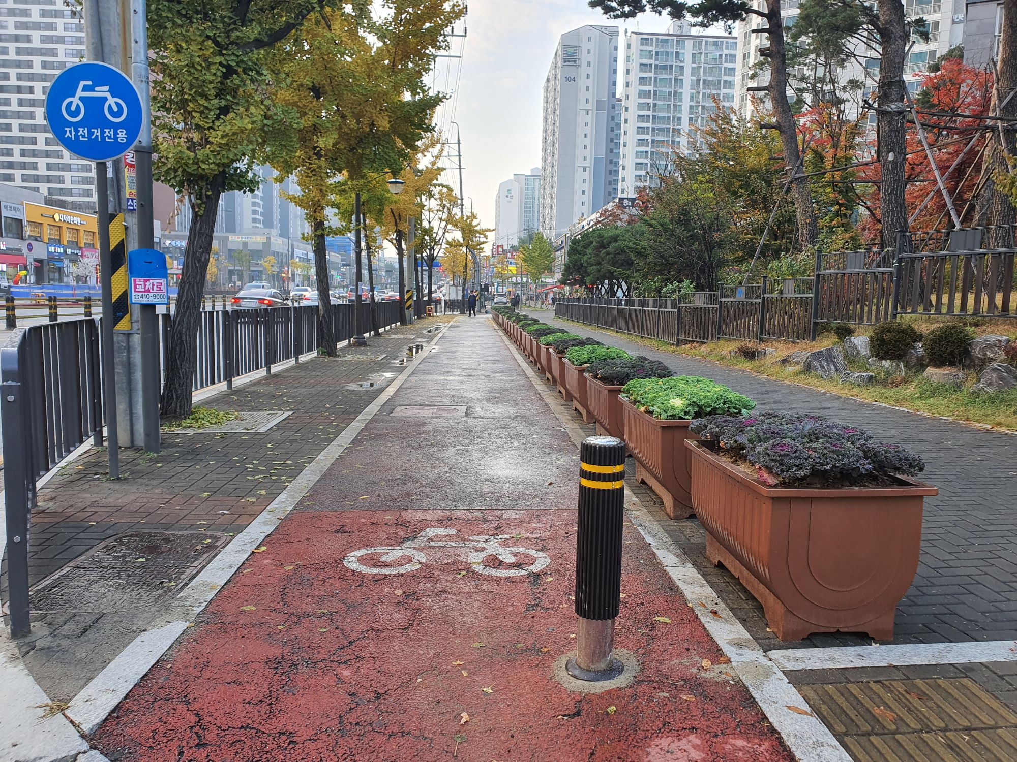 안산시 단원구, 보행자 안전 환경 개선