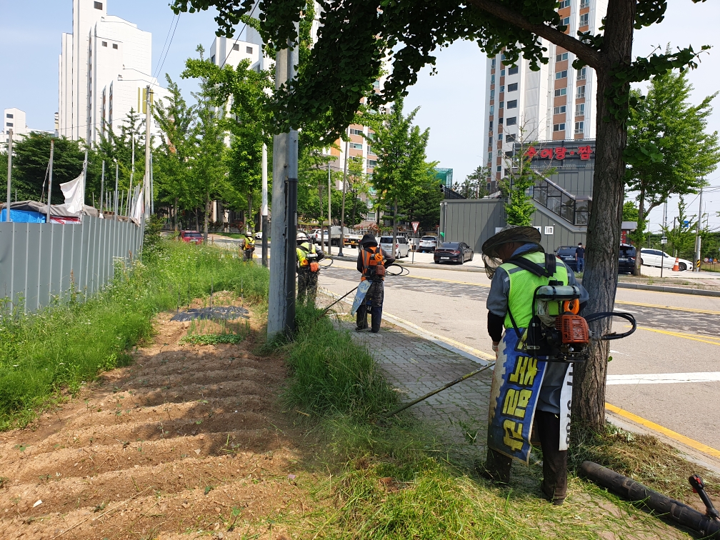 안산시 신길동, 제초작업으로 쾌적한 보행 환경 조성