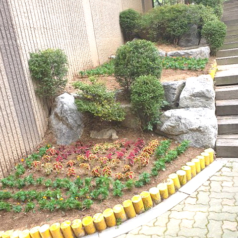 안산시 신길동, 가을맞이 신길온천역 앞 국화 식재