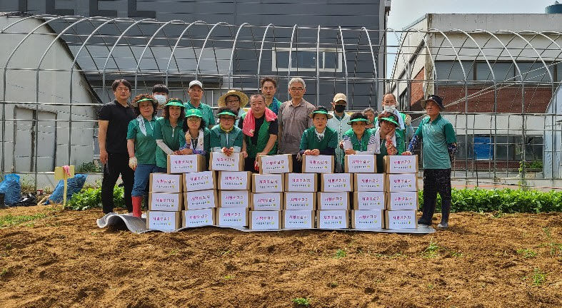 백운동 새마을회, 코로나19극복을 위한 사랑愛 감자 나눔