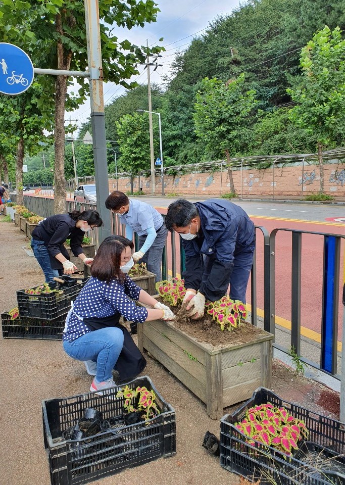 안산시 성포동, 코로나19 극복 위한 가을꽃 식재