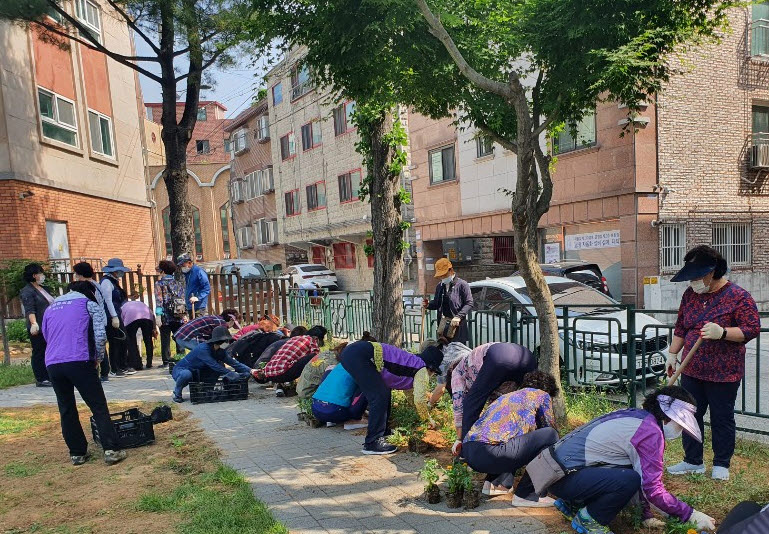 안산시 본오1동 통장협의회, 여름꽃 식재