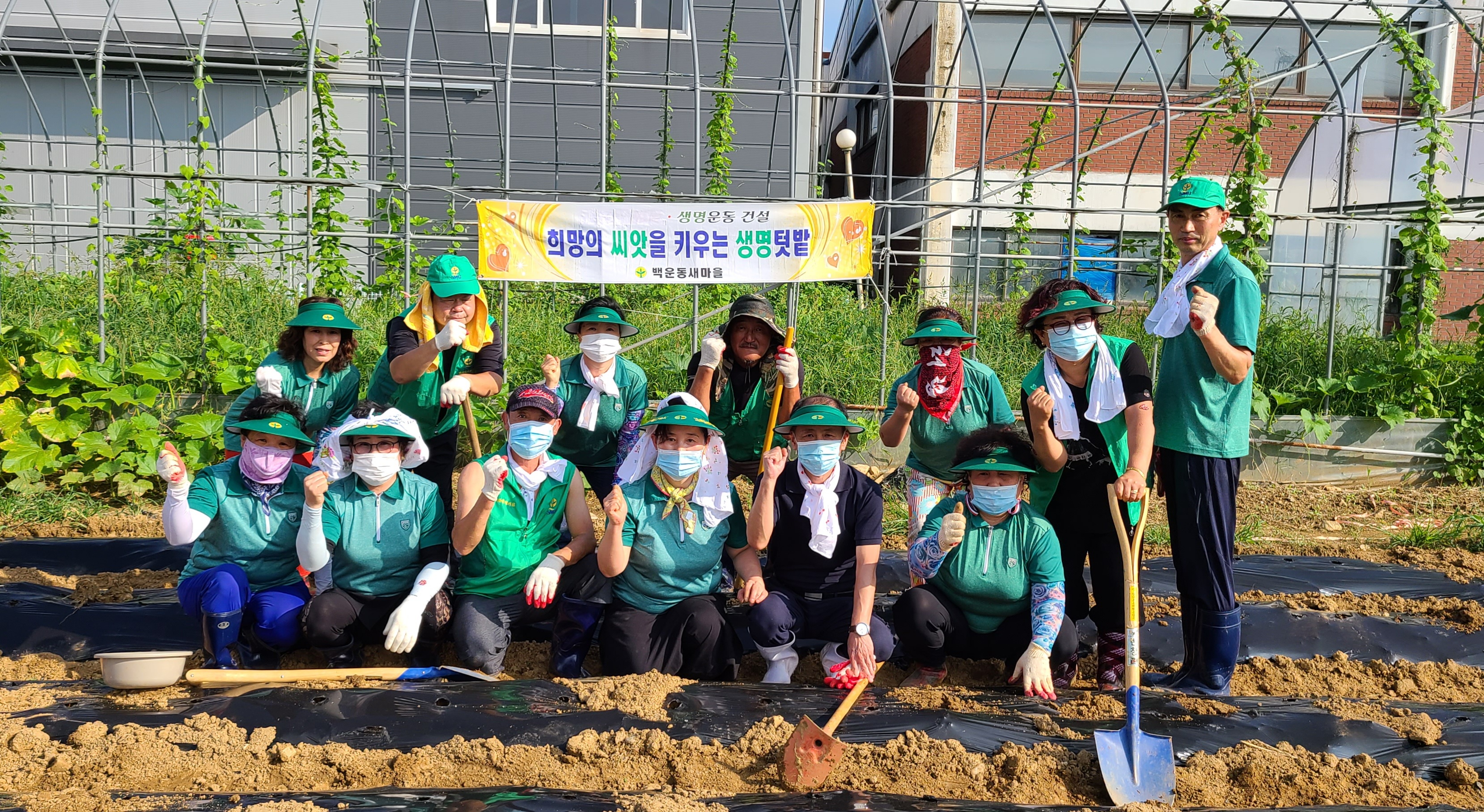백운동 새마을협의회 ‘희망의 씨앗, 사랑의 김장 무 파종’