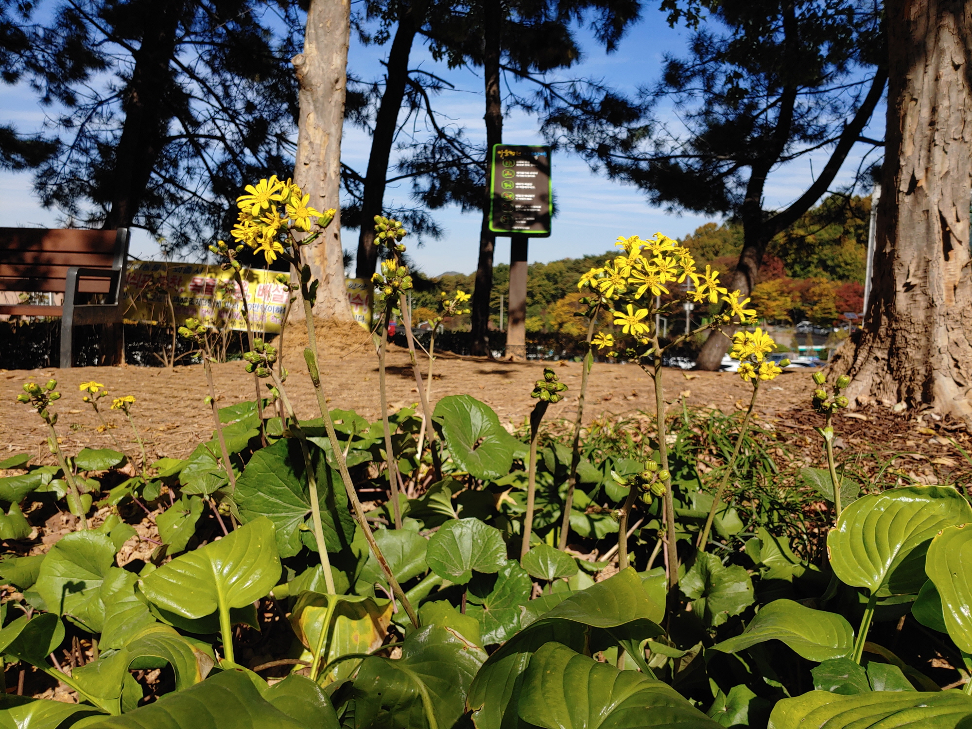 사동 마을정원 ‘함께가든’함께 가꾸고 함께 즐겨요!