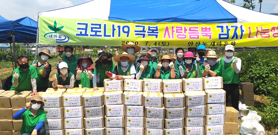 안산동 새마을회, 코로나19 극복 사랑 듬뿍 감자 나눔