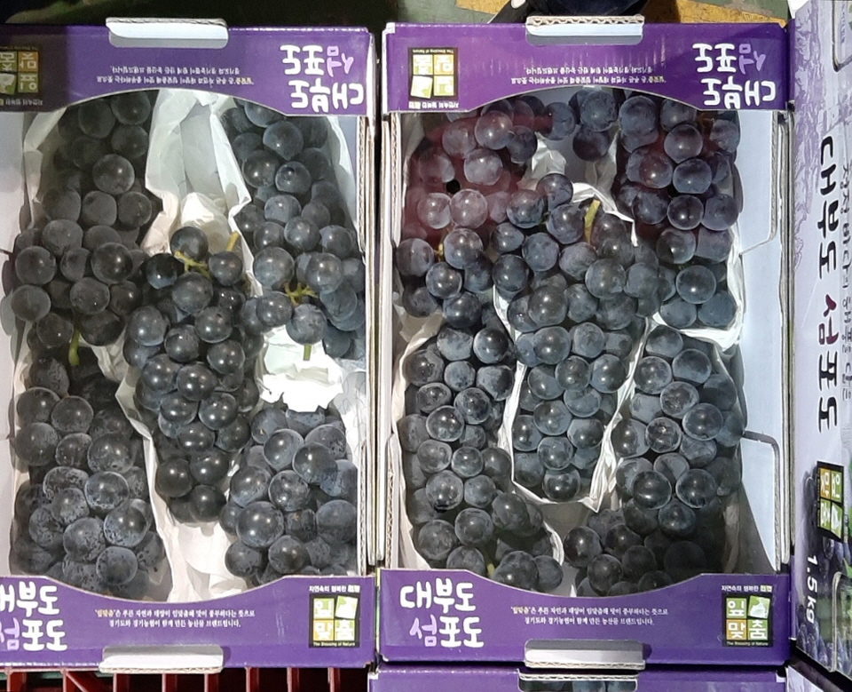 안산시, 이마트 고잔점과 ‘대부포도위크’ 행사 추진