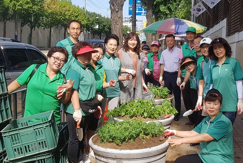 백운동, 추석맞이 거리화단 가을꽃 식재