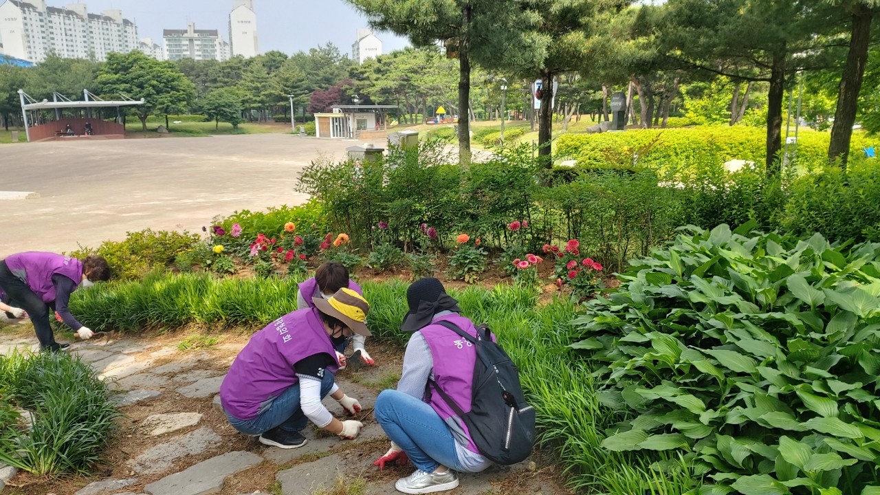 안산시 와동 통장협의회, 와동체육공원 환경정비