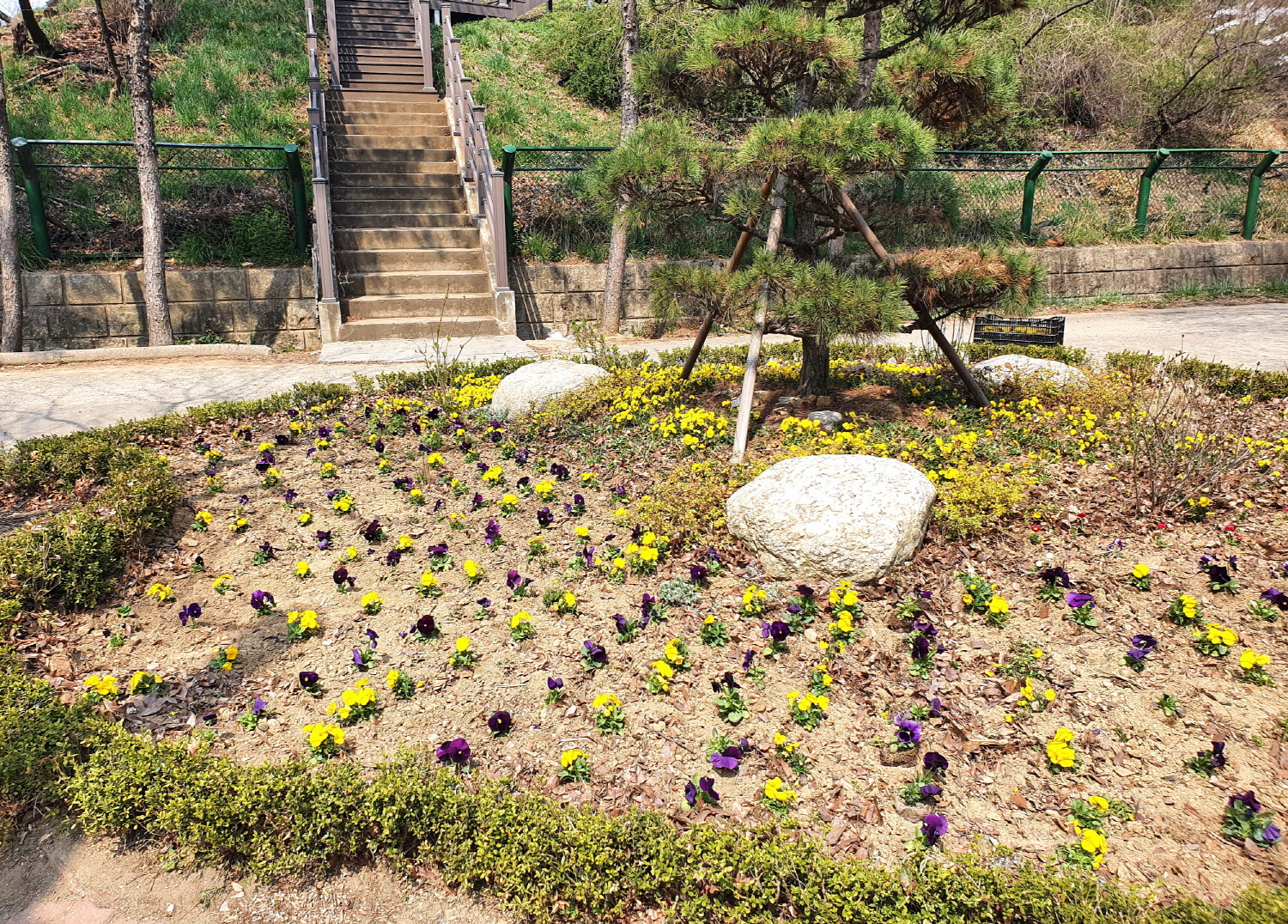 선부2동, 시가지 꽃길 조성으로 주민에게 힐링 제공